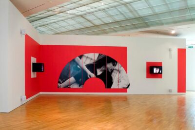 Dara Birnbaum. Hessel Museum of Art