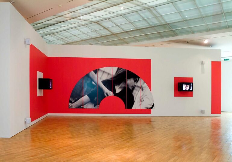 Dara Birnbaum. Hessel Museum of Art