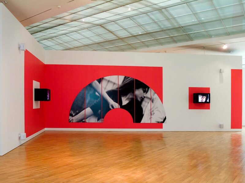 Dara Birnbaum. Hessel Museum of Art