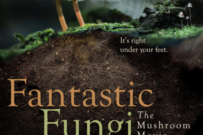 Fantastic Fungi, de Louie Schwartzberg, formula a la vez la pregunta científica más antigua y la espiritual más antigua