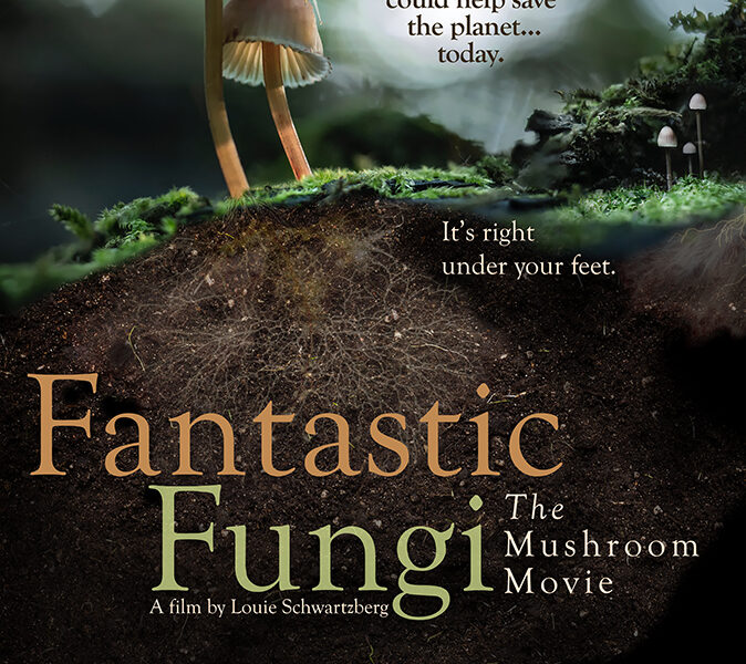 Louie Schwartzberg’s Fantastic Fungi asks the oldest scientific question and the oldest spiritual one at the same time