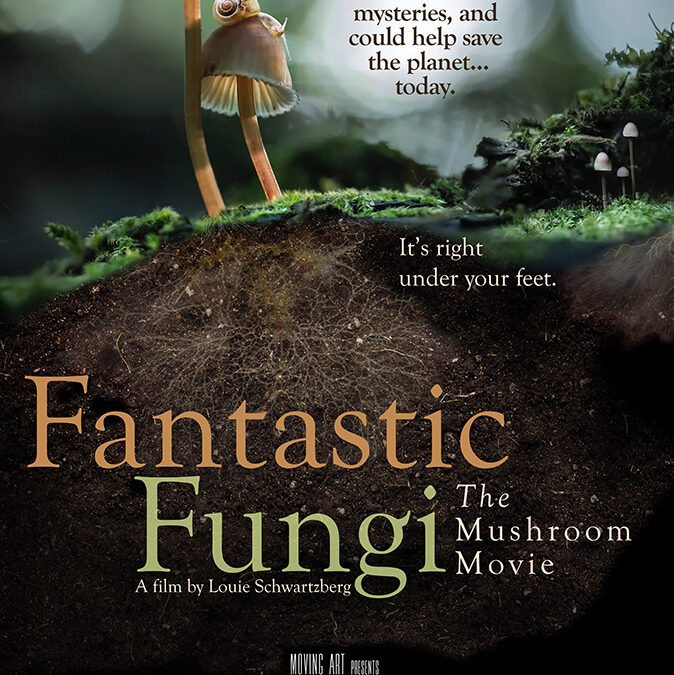 Fantastic Fungi, de Louie Schwartzberg, formula a la vez la pregunta científica más antigua y la espiritual más antigua
