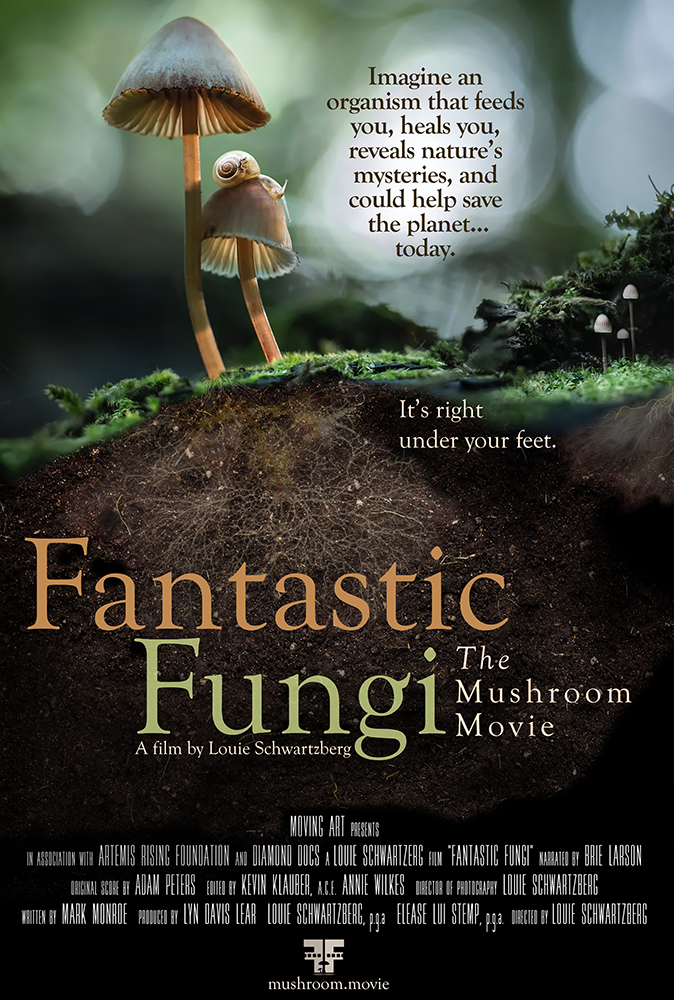 Louie Schwartzberg’s Fantastic Fungi asks the oldest scientific question and the oldest spiritual one at the same time