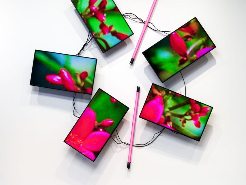 David Zwirner Announces Artists for ArtCenter Benefit Sale