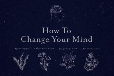 Cómo Cambiar tu Mente. Serie en Netflix Estreno Julio 2022