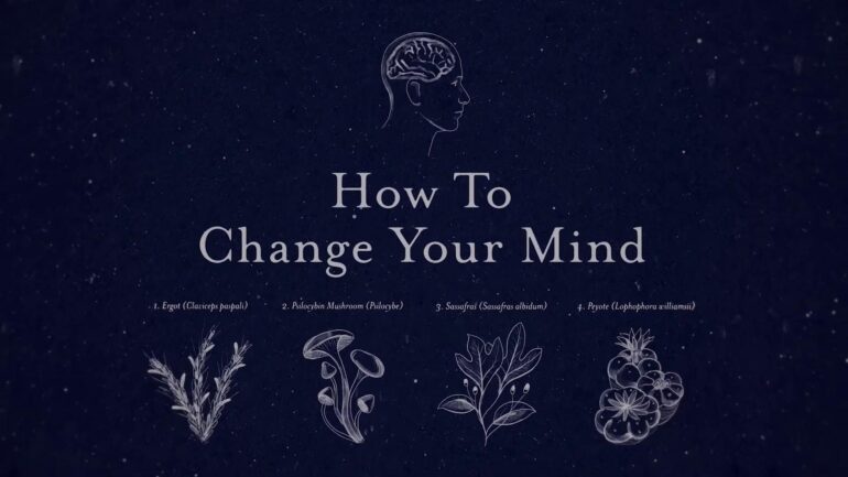 How to Change Your Mind. Now On Netflix – Review
