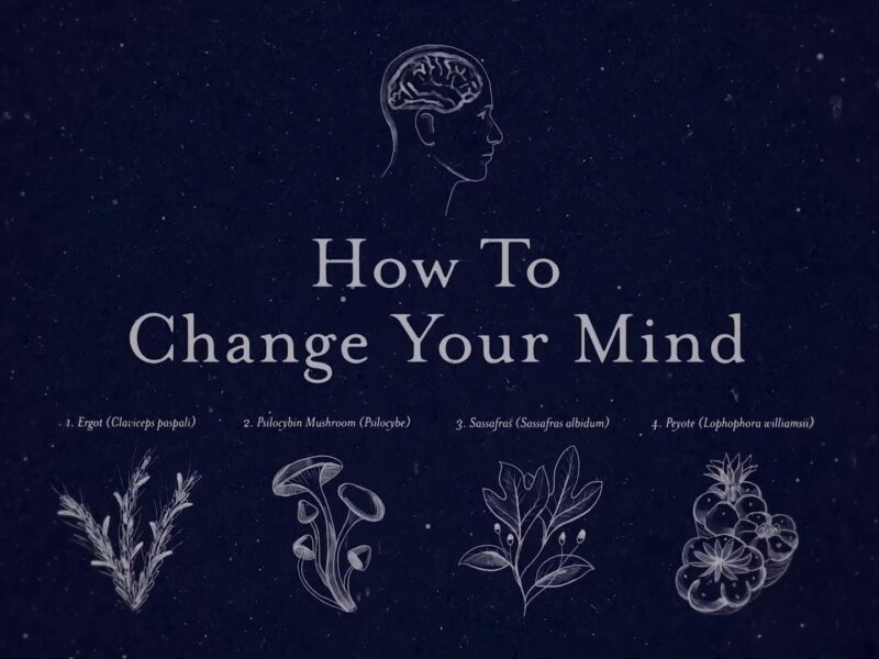 Cómo Cambiar tu Mente. Serie en Netflix Estreno Julio 2022