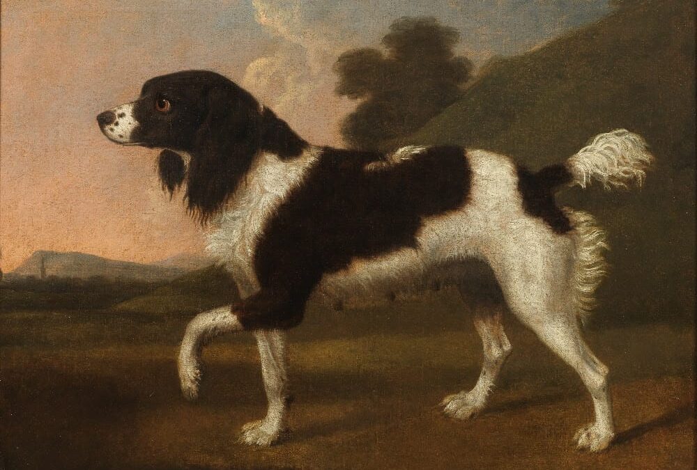 Newly Rediscovered Stubbs Dog Portrait Sells at Bonhams Old Master Paintings Sale