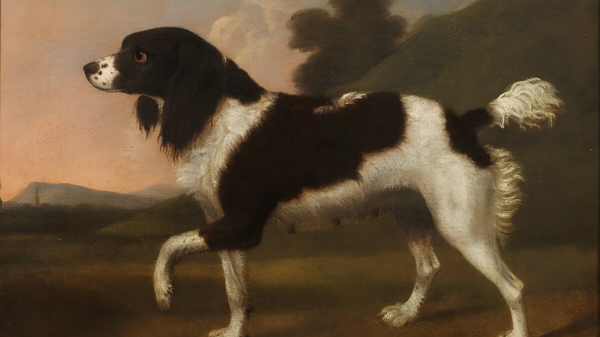 Newly Rediscovered Stubbs Dog Portrait Sells at Bonhams Old Master Paintings Sale