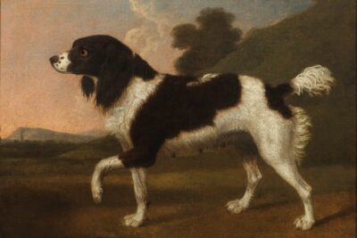Newly Rediscovered Stubbs Dog Portrait Sells at Bonhams Old Master Paintings Sale