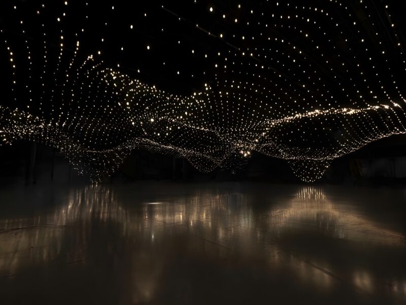 Rafael Lozano-Hemmer: Common Measures. Pace Gallery NY