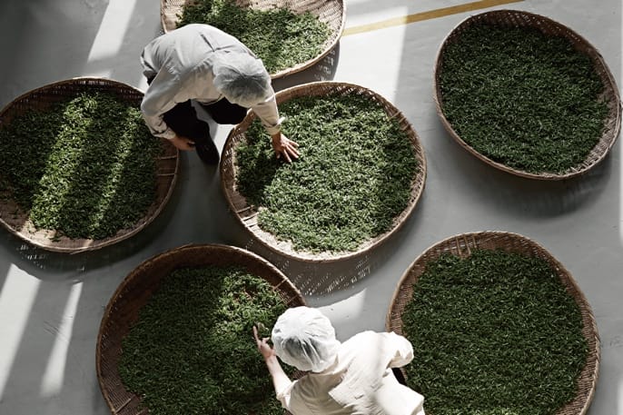 Pace Announces Details of Osulloc Tea House at Expanded Arts Complex in Seoul