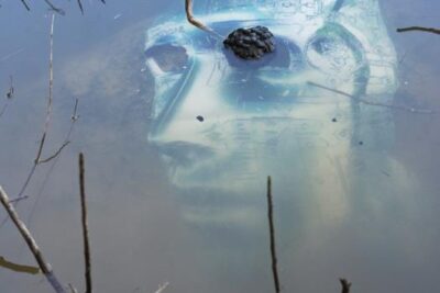 ‘States of Disruption’ Centre for Contemporary Photography