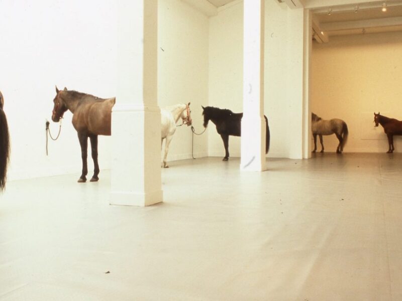 Out of the Margins. Whitechapel Gallery