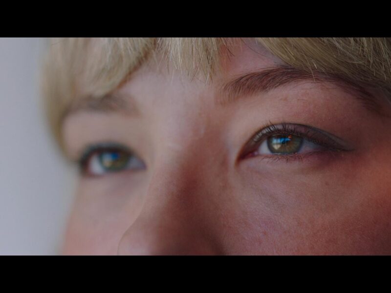 ‘Swallow’ Crítica de la Película 2019