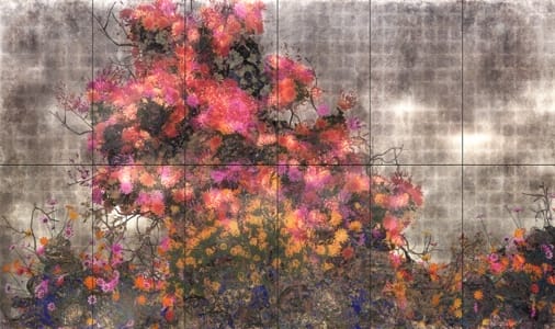 Pace Details teamLab Exhibition Inaugurating Expanded Gallery Complex in Seoul