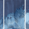 Meghann Riepenhoff: Ice. Yossi Milo Gallery