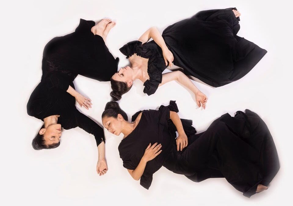 Vangeline Theater / New York Butoh Institute announces that Vangeline is the recipient of a 2022/23 Gibney Dance in Process (DiP) Residency