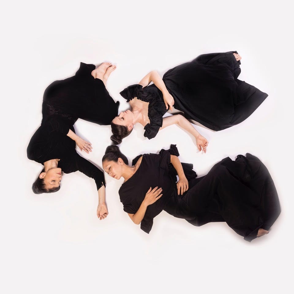 Vangeline Theater / New York Butoh Institute announces that Vangeline is the recipient of a 2022/23 Gibney Dance in Process (DiP) Residency