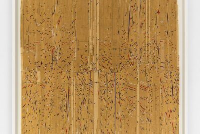 Ronny Quevedo at Alexander Gray Associates, New York