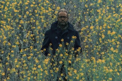 Ray Anthony Barrett at Wilding Cran Gallery