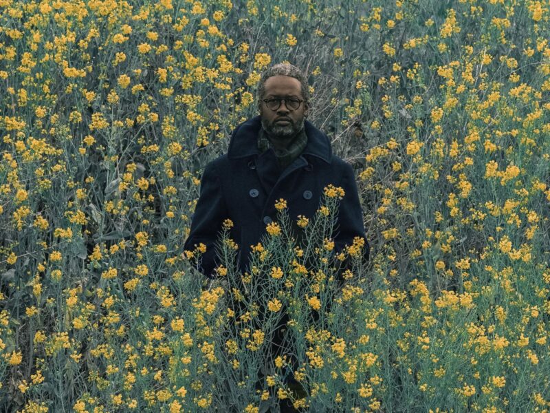 Ray Anthony Barrett at Wilding Cran Gallery