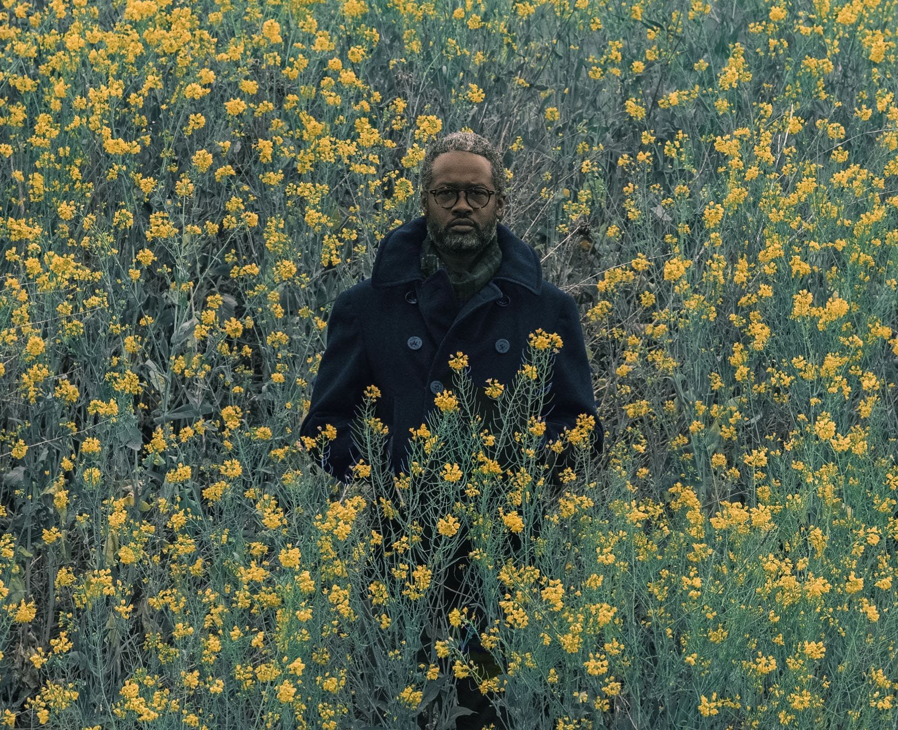 Ray Anthony Barrett at Wilding Cran Gallery