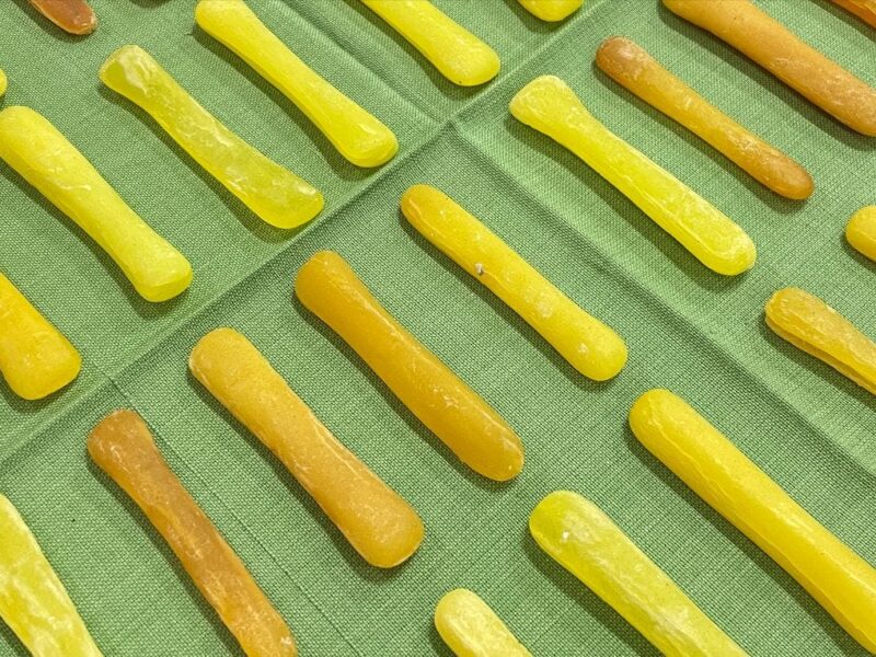 Gertrude Studios 2022. Gertrude Contemporary