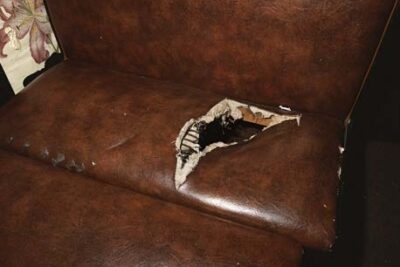 Wild Strawberries – Gallery 125 Newbury (New York)