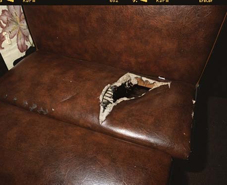 Wild Strawberries – Gallery 125 Newbury (New York)