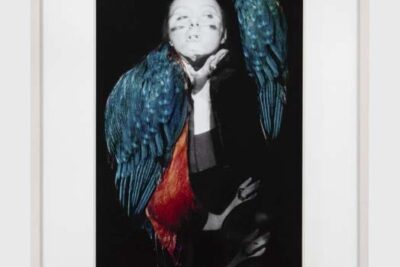 Penny Slinger: 50% Unboxed. Pace Gallery NY