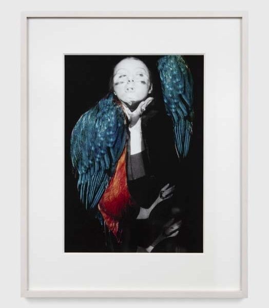 Penny Slinger: 50% Unboxed. Pace Gallery NY