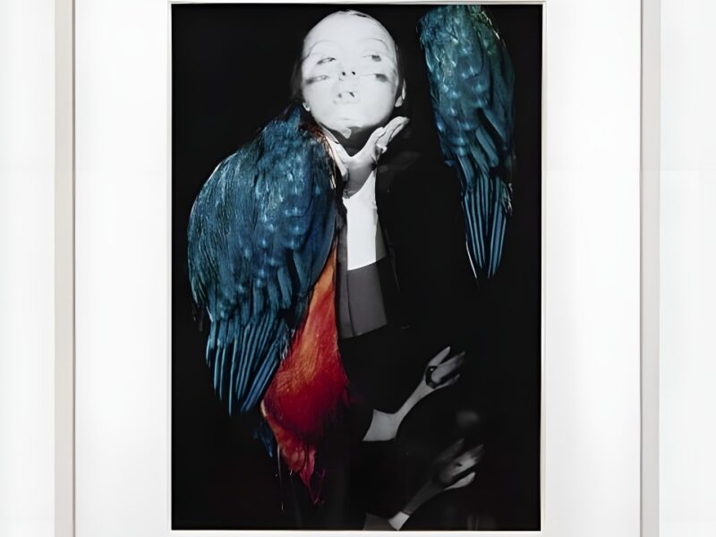Penny Slinger: 50% Unboxed. Pace Gallery NY