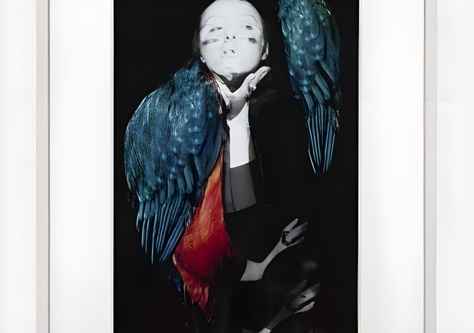 Penny Slinger: 50% Unboxed. Pace Gallery NY
