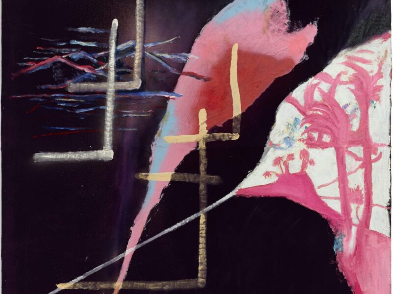 Julian Schnabel: Predominately Natural Forms, Mexico 2022