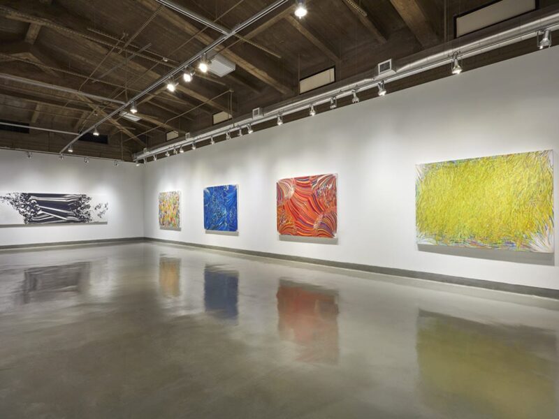 Sam Reveles: Solastalgia. Rubin Center for the Visual Arts