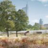 Calder Gardens Design Unveiled: Herzog & de Meuron + Piet Oudolf