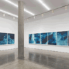 Meghann Riepenhoff | Ice. Yossi Milo Gallery