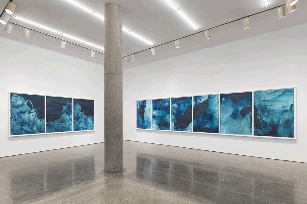 Meghann Riepenhoff | Ice. Yossi Milo Gallery