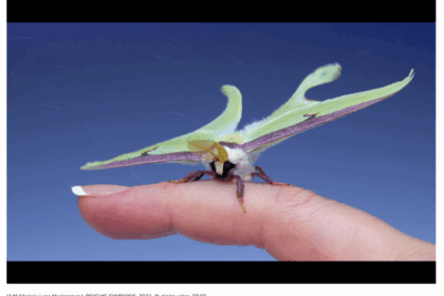 NOoSPHERE Arts Presents REPOPULATIONS: New Horizons