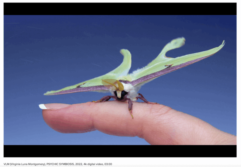 NOoSPHERE Arts Presents REPOPULATIONS: New Horizons