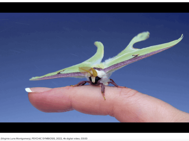 NOoSPHERE Arts Presents REPOPULATIONS: New Horizons