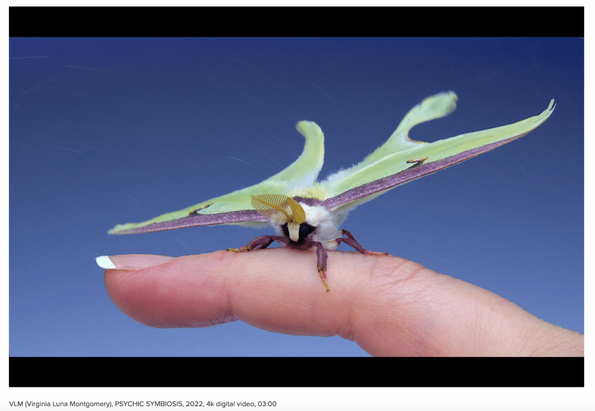 NOoSPHERE Arts Presents REPOPULATIONS: New Horizons