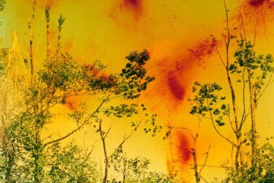 Wolfgang Tillmans: To look without fear | MoMA