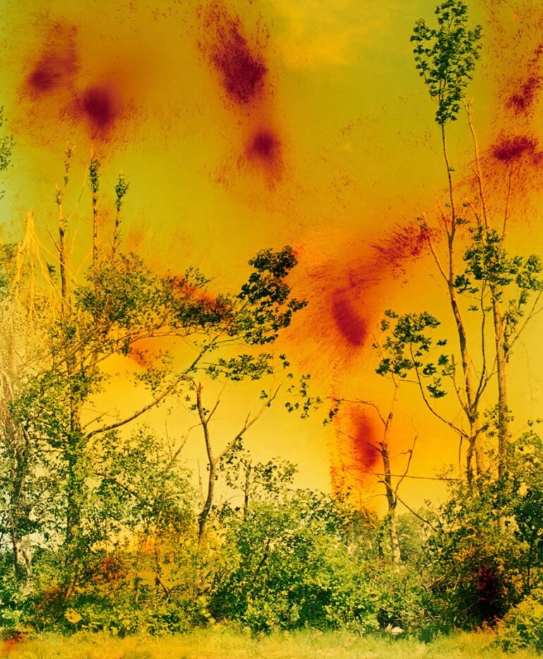 Wolfgang Tillmans: To look without fear | MoMA