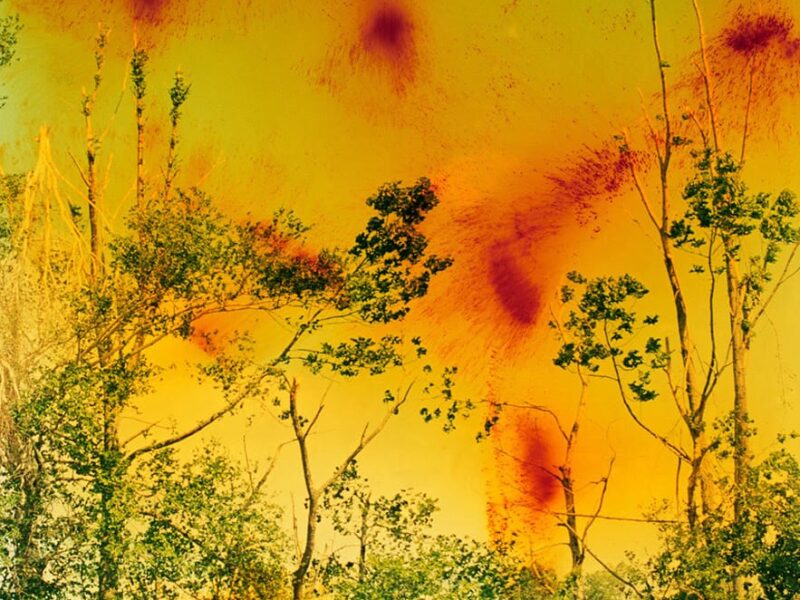 Wolfgang Tillmans: To look without fear | MoMA