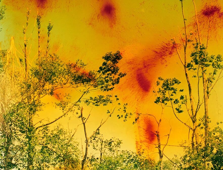 Wolfgang Tillmans: To look without fear | MoMA