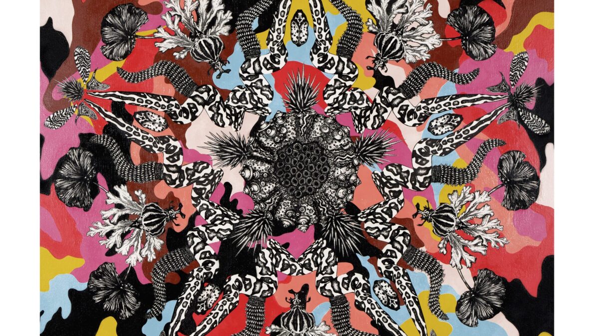 Butterfly Effect: New Works by LILY MIXE