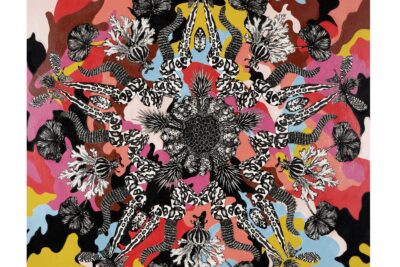 Butterfly Effect: New Works by LILY MIXE