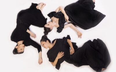 The Slowest Wave at Triskelion’s Muriel Schulman Theater. New York